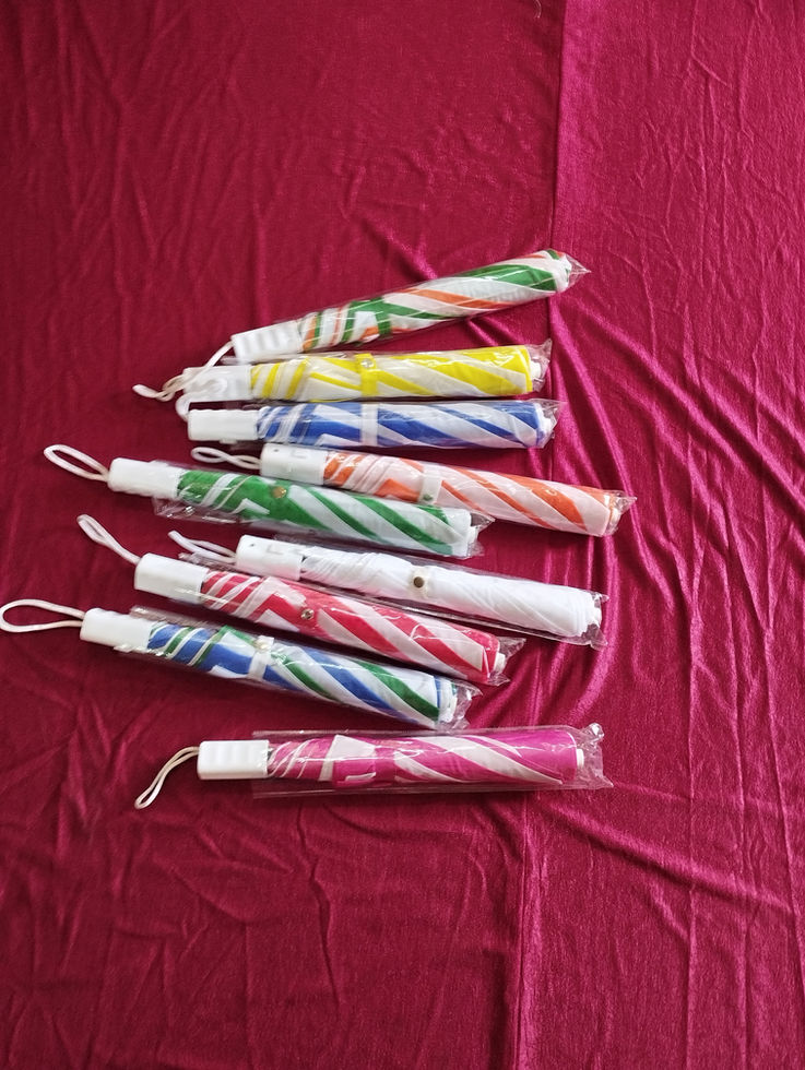 12 pieces box Two fold Promotional Umbrella with custom logo printing