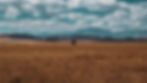 hunter-james-FFT0f-Js51w-unsplash.jpg