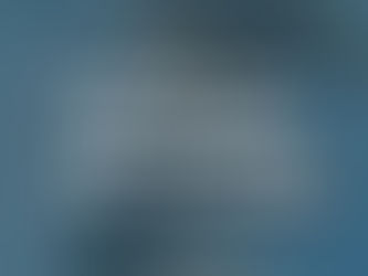 Week 8: Find Your “Why” and Conquer First-Time Fears in Vet School