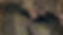 banner site.png