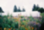 Sarah Film_8.jpg