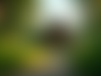 A Comprehensive Guide to Sustainable Travel: Eco-Friendly Travel Tips for Thoughtful Adventurers