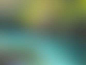 Passport to Peace: Finding Purpose in Local Travel