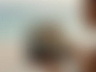 Top Travel Cosmetic Bags for Every Trip