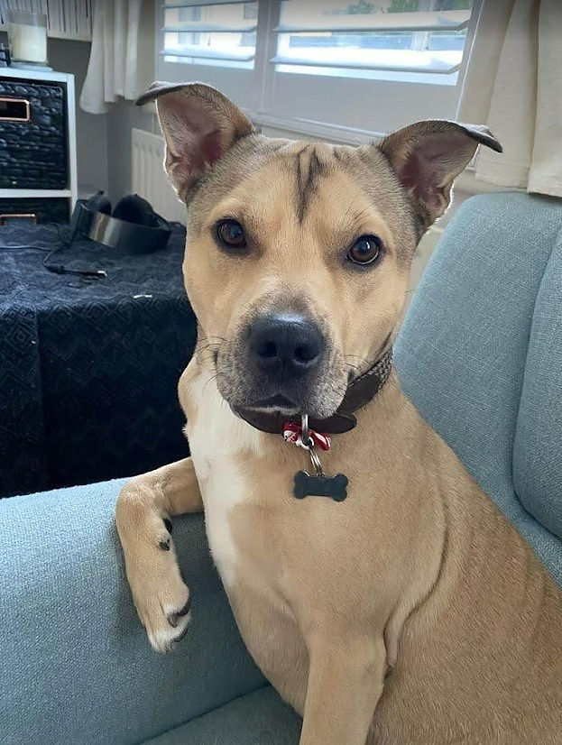 Zeus
