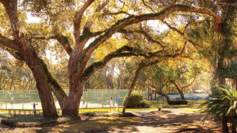 CLIFF DRYSDALE TENNIS RESORT PARTNERS RANK TOP 50 IN THE WORLD