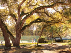 CLIFF DRYSDALE TENNIS RESORT PARTNERS RANK TOP 100 IN THE WORLD