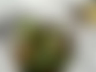 Low Histamine Autumn Salad