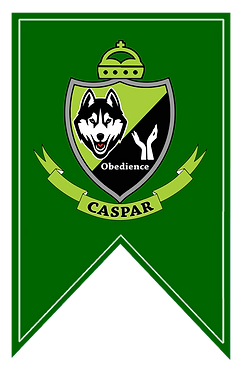 CASPAR badge_0.png