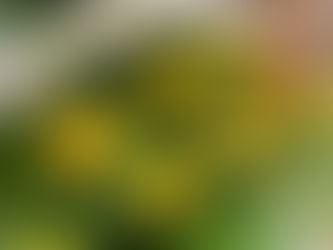 私のホームタウン