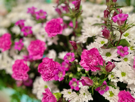 年末を迎える前に