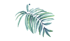 BG32_edited.png