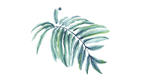 BG32_edited.png