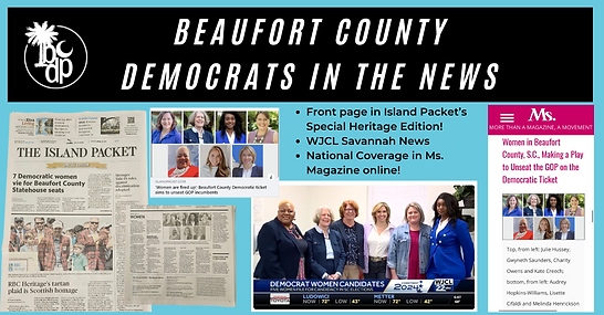 BCDP in the news (1).png