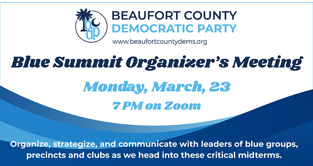 Blue Summit - An Organizer’s Meeting (2).png