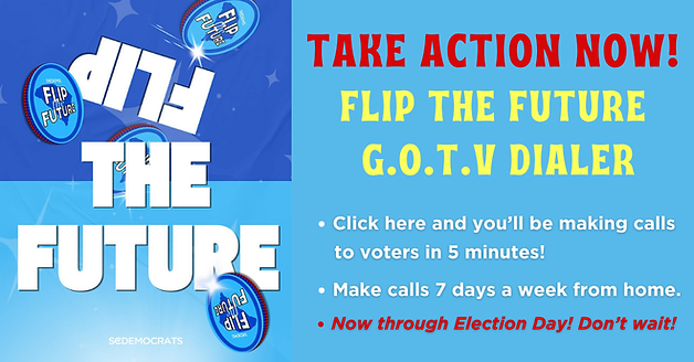 Calling Strong Dems Flip the Future Mobilize (1).png