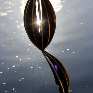 Sea Quill 2.jpeg