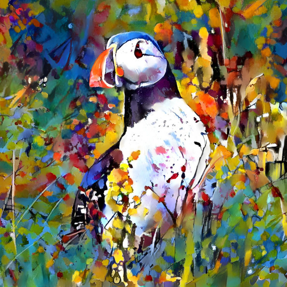 Puffin Passion