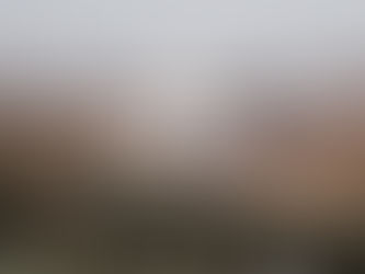 Day 69: Community Bible Read-A-Thon