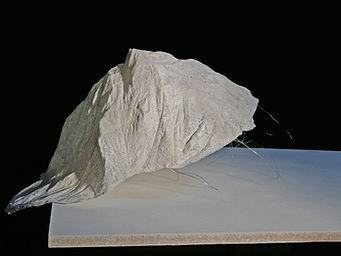 7.Anne Liebhaberg. Basculement2.P1590083 copie 4réduit.jpg