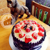 Thanks for the Cake. What are you having?
