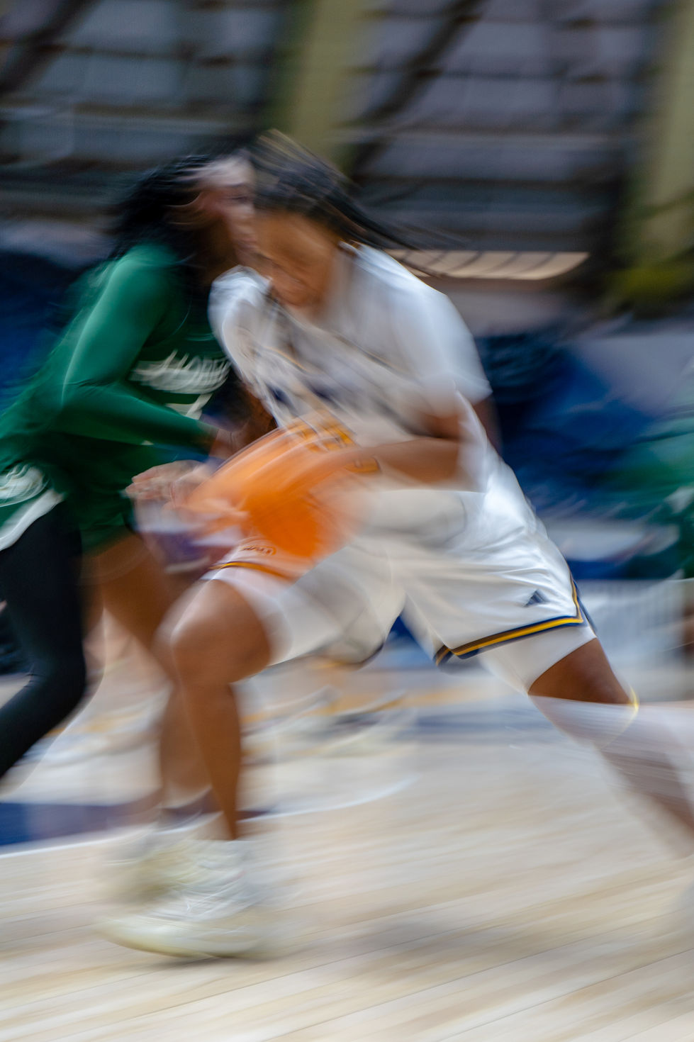 NAU Women's Basketball - J. Lawrence Walkup Skydome