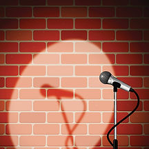 Stand up Comedy.jpg