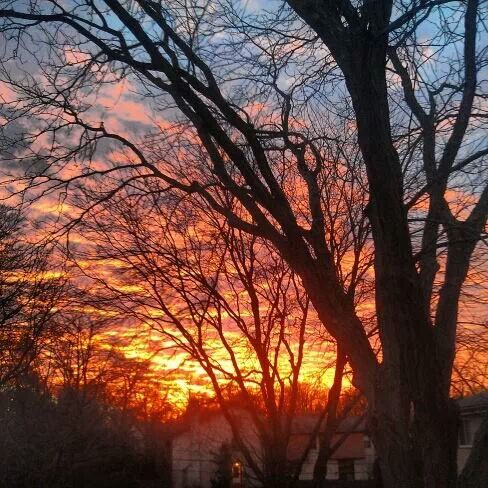 Winter Sunset