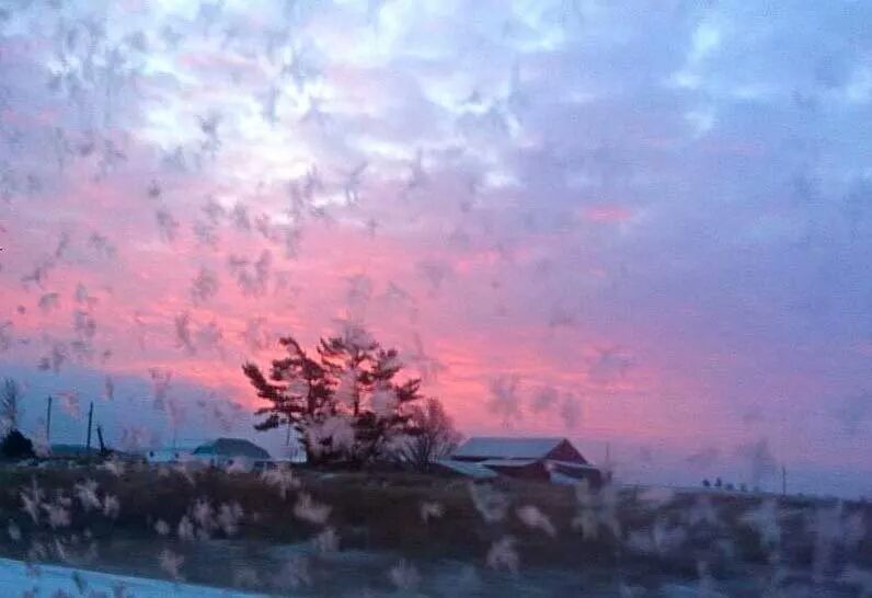 Frosted Window, Frosted World