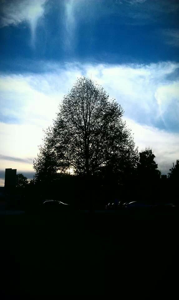 Silhouette
