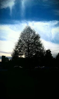 Silhouette