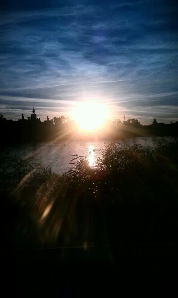 Sunburst