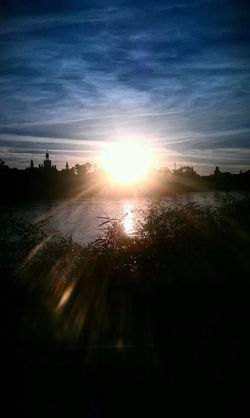 Sunburst