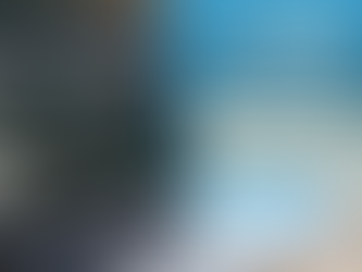 Hire WordPress Developer India to Build High-Performance Websites