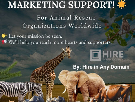 Animal Rescue Organizations Worldwide 🐾