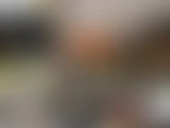 New Year Celebrations in Melbourne