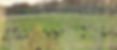 1733599503626_edited.jpg