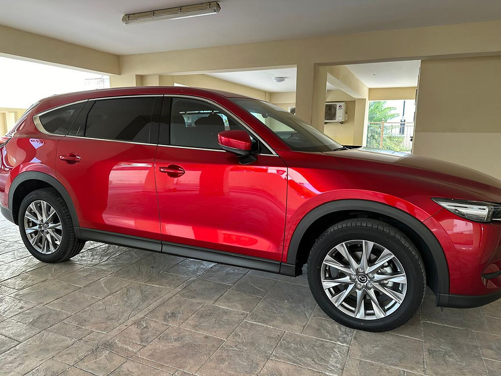 תמונה ממוזערת: MAZDA CX8 2021