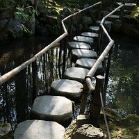 45988133861_10e1e839d3_o_edited.jpg