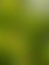 Une nouvelle station d’essai en viticulture et œnologie en Valais