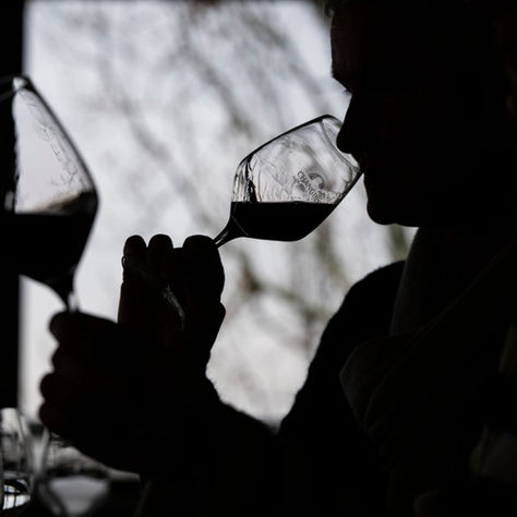 Nos étudiants dans le journal de 18h30 de la Télé Vaud Fribourg