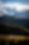 Swiss Alpine Wine