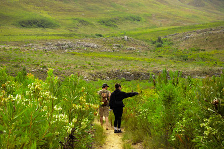 Hiking Trails
