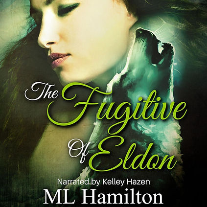 11. Fugitive Audiobook Cover copy.jpeg