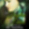 11. Fugitive Audiobook Cover copy.jpeg
