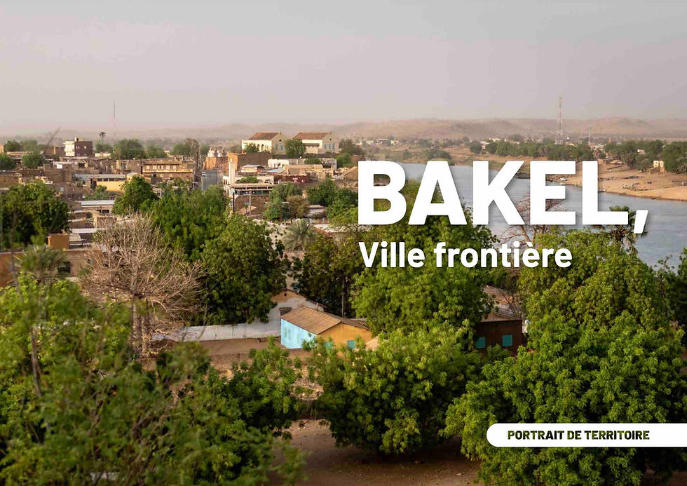 https://grdr.org/IMG/pdf/brochure_mavil_bakel_web.pdf