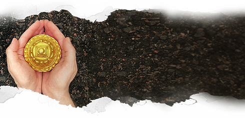 plantio tsa tsa.webp