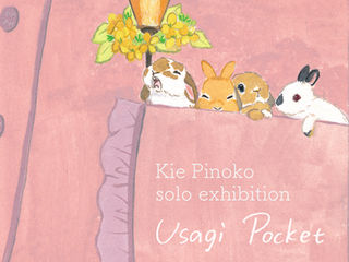 個展うさぎポケット
