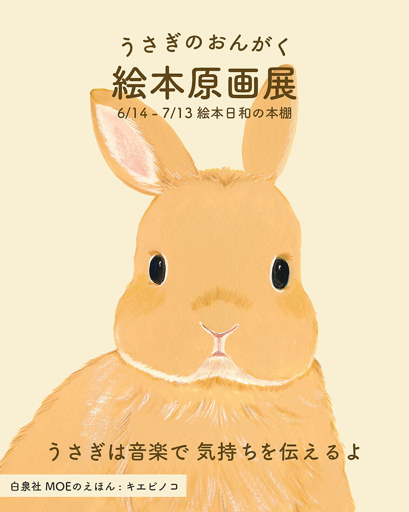 絵本ほるぷ出版うさぎコース37冊◇C198 絵本ほるぷ出版うさぎコース37冊◇C198 絵本ほるぷ出版うさぎコース