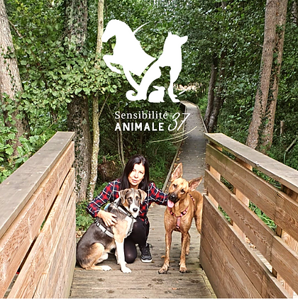 Delphine - Sensibilité Animale (5).png
